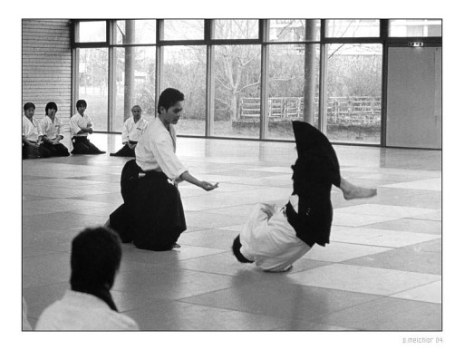 aikido_tanaka01.jpg