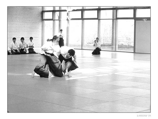 aikido_tanaka05.jpg
