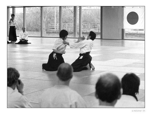 aikido_tanaka03.jpg